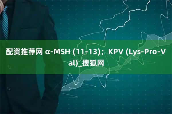 配资推荐网 α-MSH (11-13)；KPV (Lys-Pro-Val)_搜狐网